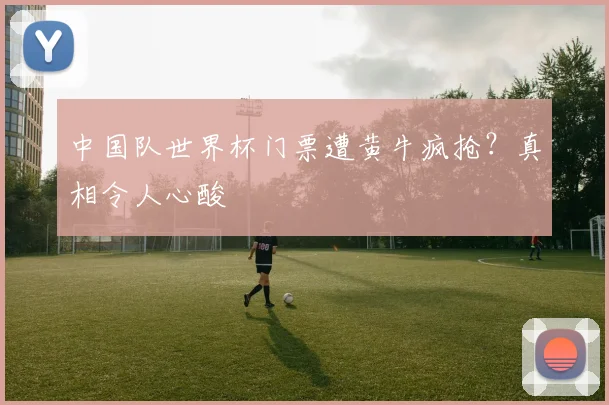 中国队世界杯门票遭黄牛疯抢?真相令人心酸