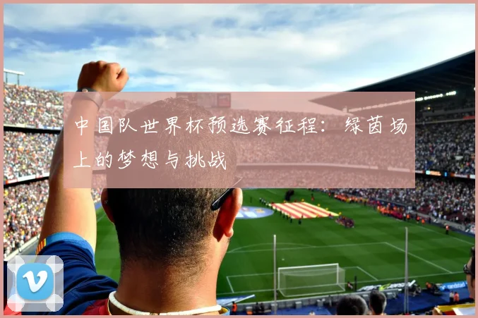 中国队世界杯预选赛征程:绿茵场上的梦想与挑战