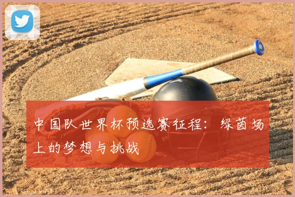 中国队世界杯预选赛征程：绿茵场上的梦想与挑战