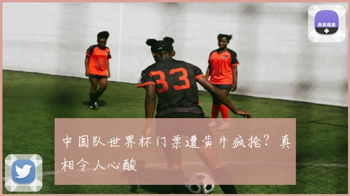 中国队世界杯门票遭黄牛疯抢?真相令人心酸
