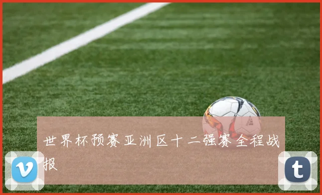世界杯预赛亚洲区十二强赛全程战报
